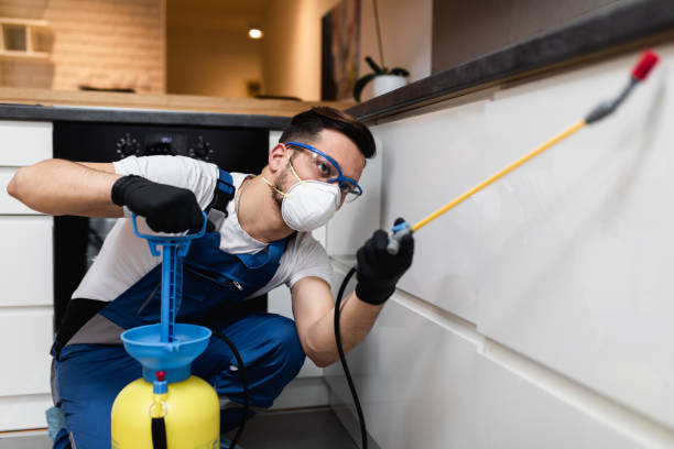 Best Cockroach Control Services  in Piedmont, OK