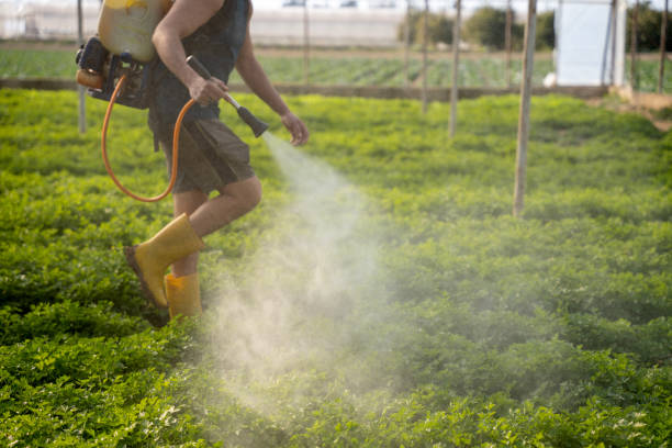 Best Commercial Pest Control Services  in Piedmont, OK